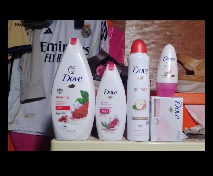 Kit Dove ( Bleu, verte et rose)
